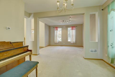 11631 Chesapeake Dr, Plainfield, IL 60585 photo 8