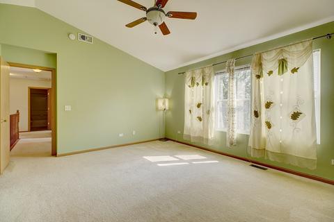 11631 Chesapeake Dr, Plainfield, IL 60585 photo 22