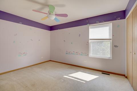 11631 Chesapeake Dr, Plainfield, IL 60585 photo 20