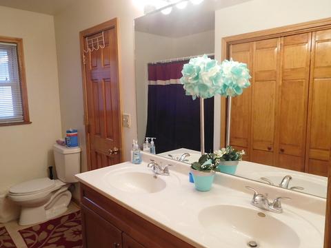 341 Manor Pl, Aurora, IL 60506 photo 10
