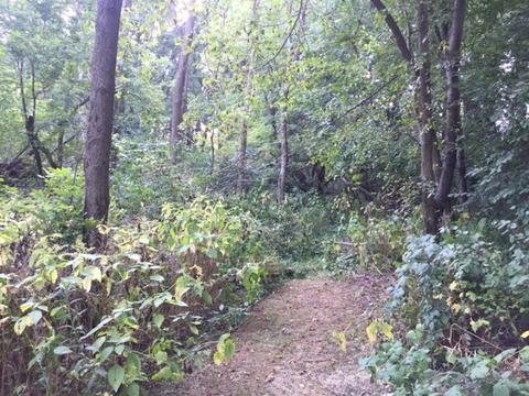 18807 River Rd, Marengo, IL 60152 photo 25
