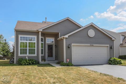 7316 Fordham Ln, Plainfield, IL 60586 photo 24