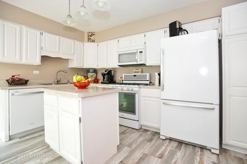 955 Olive St, Hoffman Estates, IL 60169 photo 3
