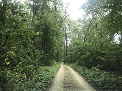 193 S 5000w Rd, Kankakee, IL 60901 photo 6