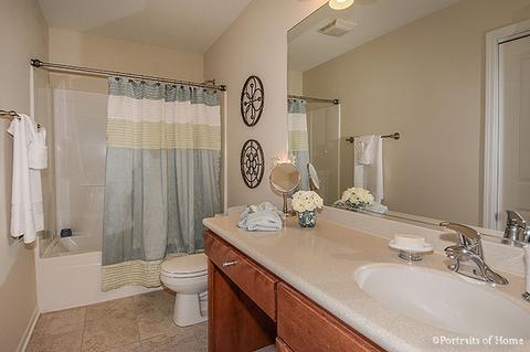 12819 Stellar Ln, Plainfield, IL 60585 photo 21