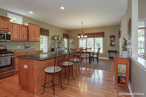12819 Stellar Ln, Plainfield, IL 60585 photo 10