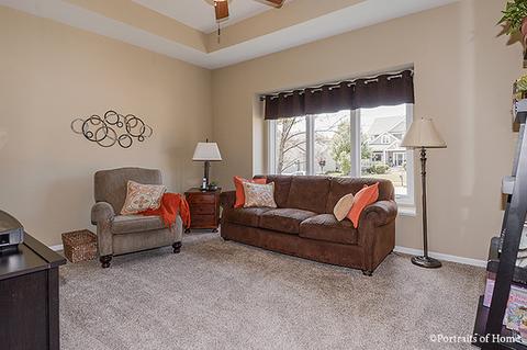 12819 Stellar Ln, Plainfield, IL 60585 photo 14