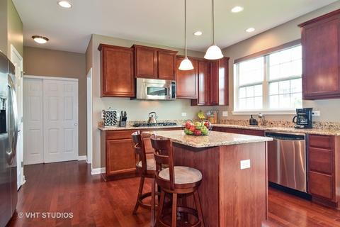 5904 Mackinac Ln, Hoffman Estates, IL 60192 photo 5