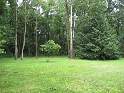 4118 County Line Rd, Harvard, IL 60033 photo 26