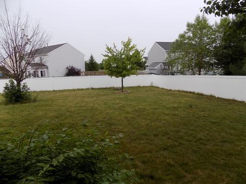 2003 Glenridge Ct, Plainfield, IL 60586 photo 30
