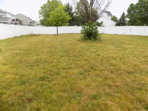 2003 Glenridge Ct, Plainfield, IL 60586 photo 31