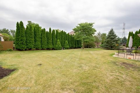 24235 Cabernet Ln, Plainfield, IL 60586 photo 14
