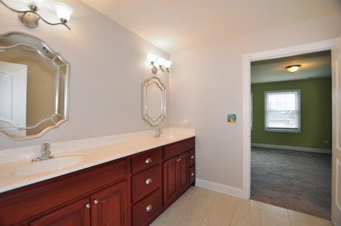 25225 S Tuscany Dr E, Monee, IL 60449 photo 21