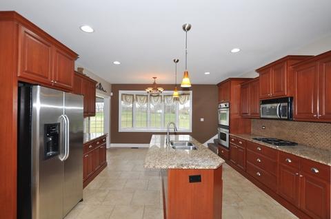 25225 S Tuscany Dr E, Monee, IL 60449 photo 10