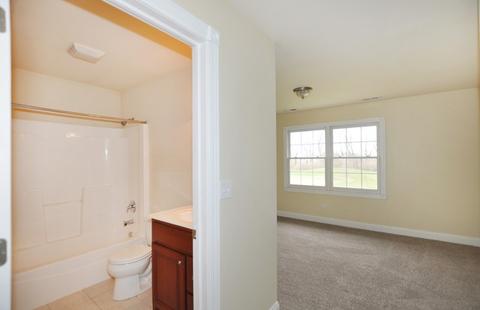 25225 S Tuscany Dr E, Monee, IL 60449 photo 19