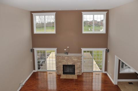 25225 S Tuscany Dr E, Monee, IL 60449 photo 7