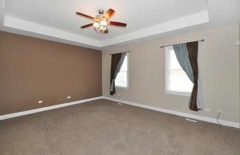 25225 S Tuscany Dr E, Monee, IL 60449 photo 13