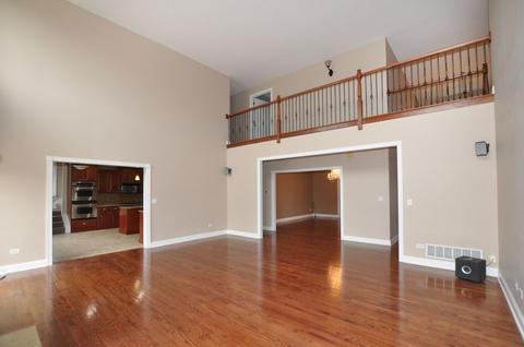 25225 S Tuscany Dr E, Monee, IL 60449 photo 9