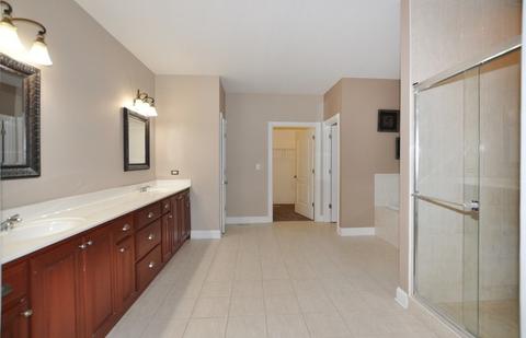 25225 S Tuscany Dr E, Monee, IL 60449 photo 15