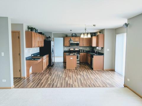3707 Bailey St, Plano, IL 60545 photo 12