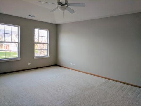 3707 Bailey St, Plano, IL 60545 photo 19