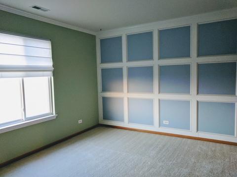 3707 Bailey St, Plano, IL 60545 photo 24