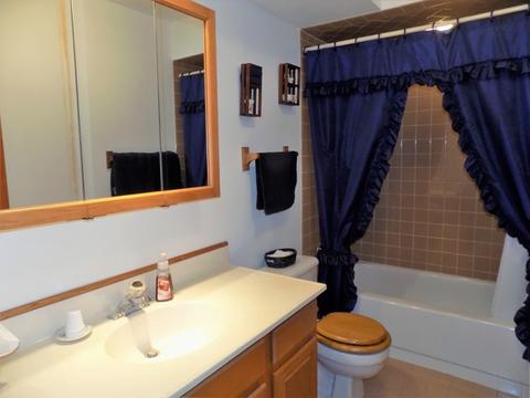 707 Kristy Ln, Wheeling, IL 60090 photo 17