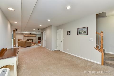 13760 Capista Dr, Plainfield, IL 60544 photo 19