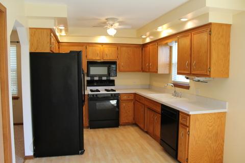 25733 S Middle Point Ave, Monee, IL 60449 photo 7