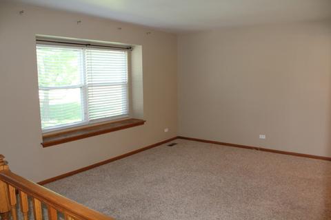 25733 S Middle Point Ave, Monee, IL 60449 photo 5