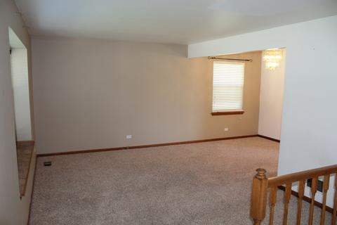 25733 S Middle Point Ave, Monee, IL 60449 photo 3