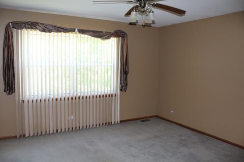 25733 S Middle Point Ave, Monee, IL 60449 photo 15