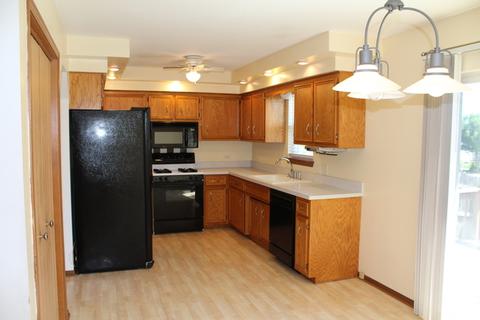 25733 S Middle Point Ave, Monee, IL 60449 photo 12