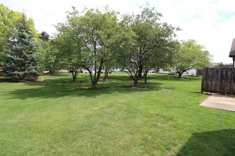 13854 S Mandarin Ct, Plainfield, IL 60544 photo 5