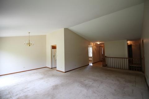 13854 S Mandarin Ct, Plainfield, IL 60544 photo 8