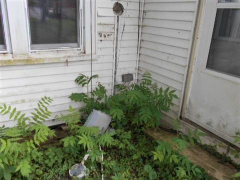 224 E Devlin St, Spring Valley, IL 61362 photo 8
