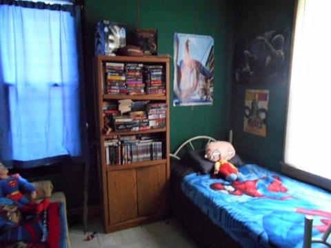 224 E Devlin St, Spring Valley, IL 61362 photo 6