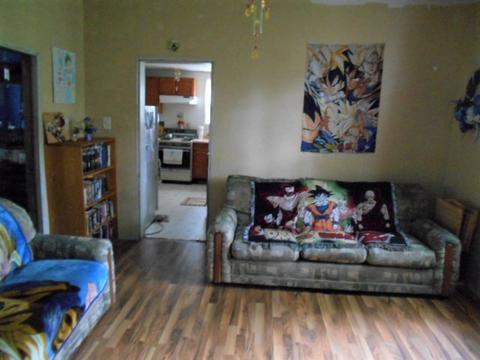 224 E Devlin St, Spring Valley, IL 61362 photo 4