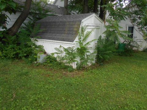 224 E Devlin St, Spring Valley, IL 61362 photo 9