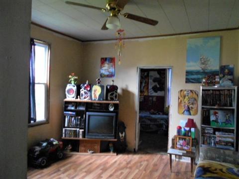 224 E Devlin St, Spring Valley, IL 61362 photo 3