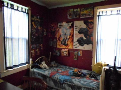 224 E Devlin St, Spring Valley, IL 61362 photo 7