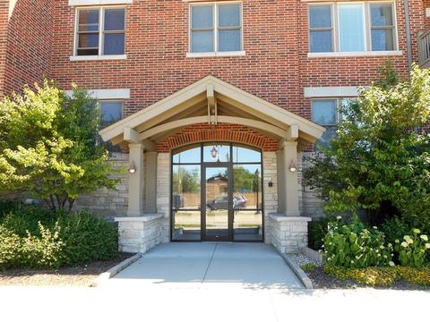 271 E Railroad Ave #308, Bartlett, IL 60103 photo 1