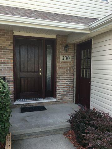 230 S Will Rd, Diamond, IL 60416 photo 4