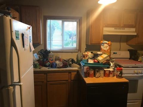 515 Douglas St, Morris, IL 60450 photo 20