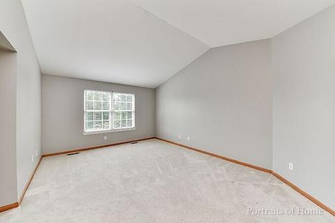 14165 S Longview Ln, Plainfield, IL 60544 photo 14