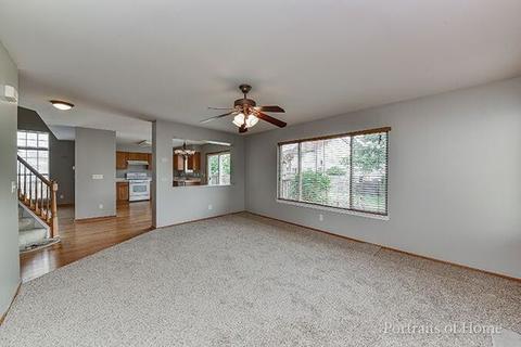 14165 S Longview Ln, Plainfield, IL 60544 photo 10