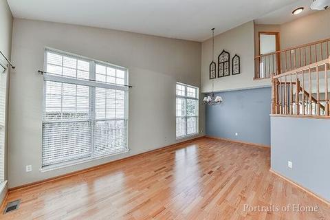 14165 S Longview Ln, Plainfield, IL 60544 photo 5
