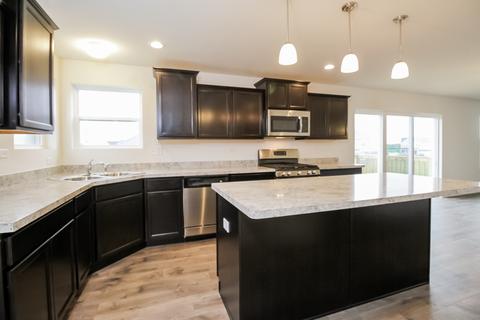 3830 Trillium Trl, Elgin, IL 60124 photo 4