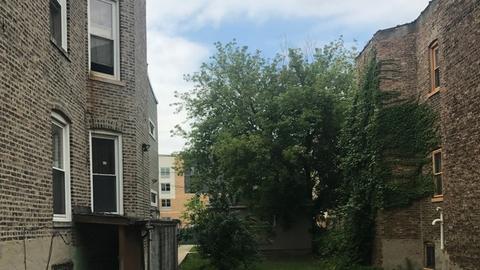 1340 E 72nd Pl, Chicago, IL 60619 photo 2