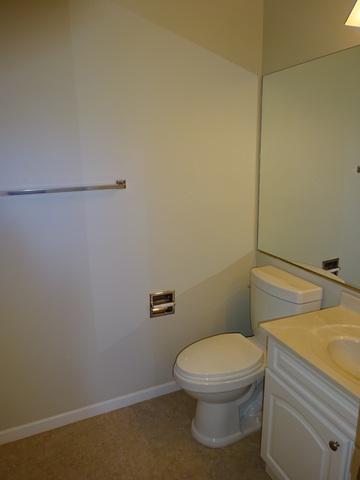 4432 Trailside Ct, Hoffman Estates, IL 60192 photo 13